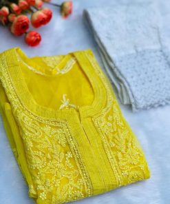Alternative view of organza Kurti
